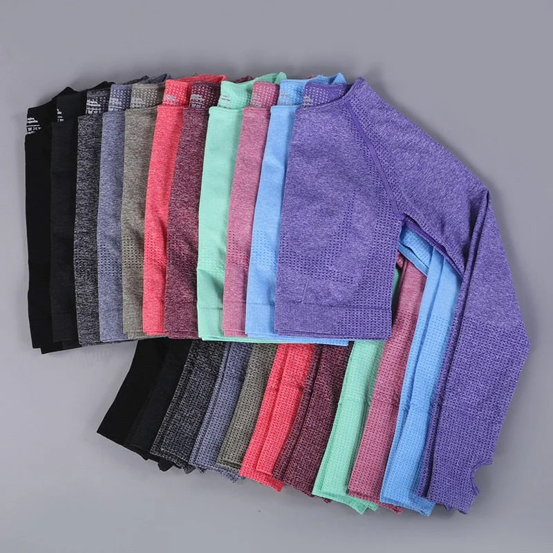 Yoganix New Seamless Yoga Crop Top long Sleeves Shirts for Women Sequined Glittery Shiny